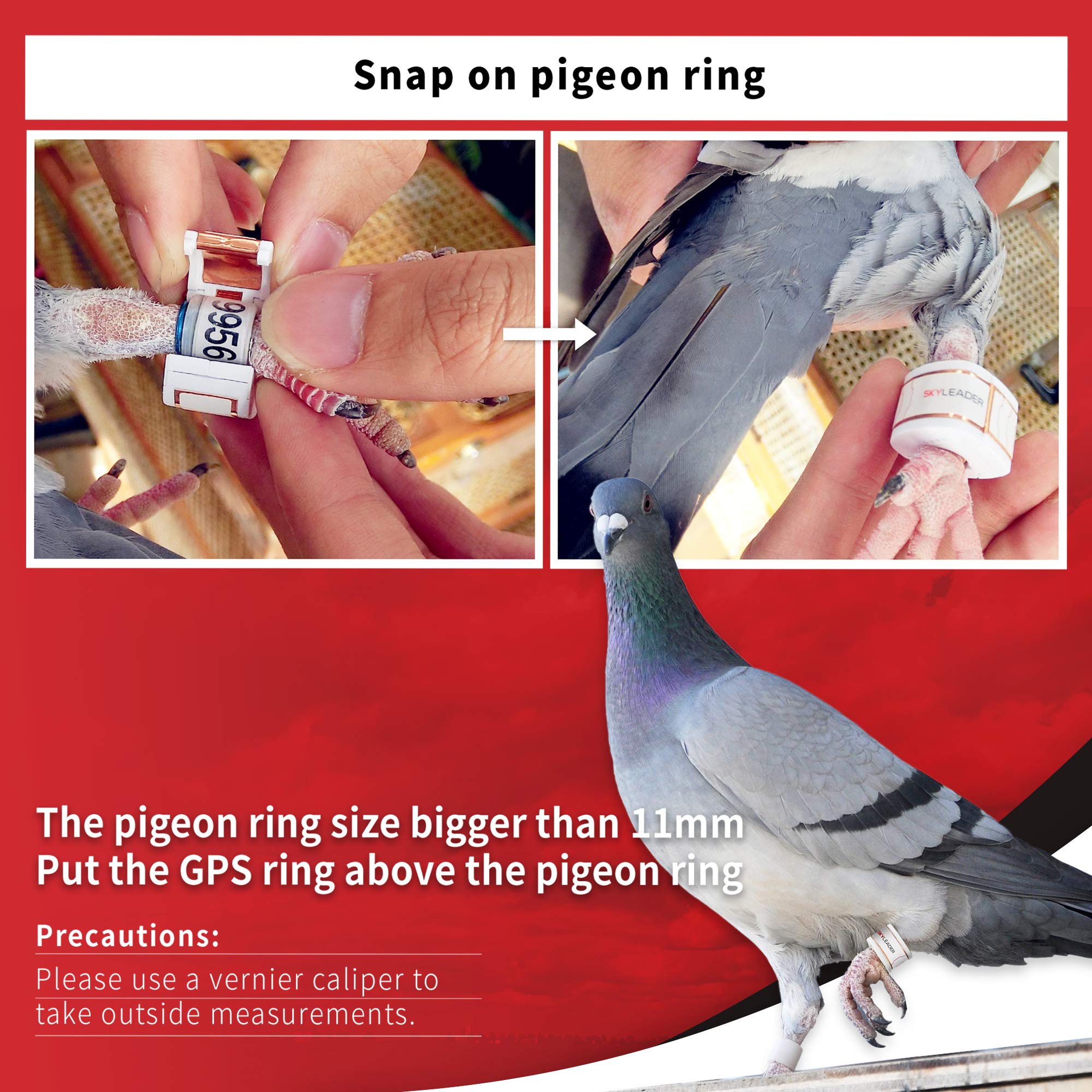 JIXIANGLE SKYLEADER Pigeon Racing GPS Tracker- Great and Accurate Accessories with Google map embeded/ Mutiple Languages, Pigeon Ring Size 11mm 6